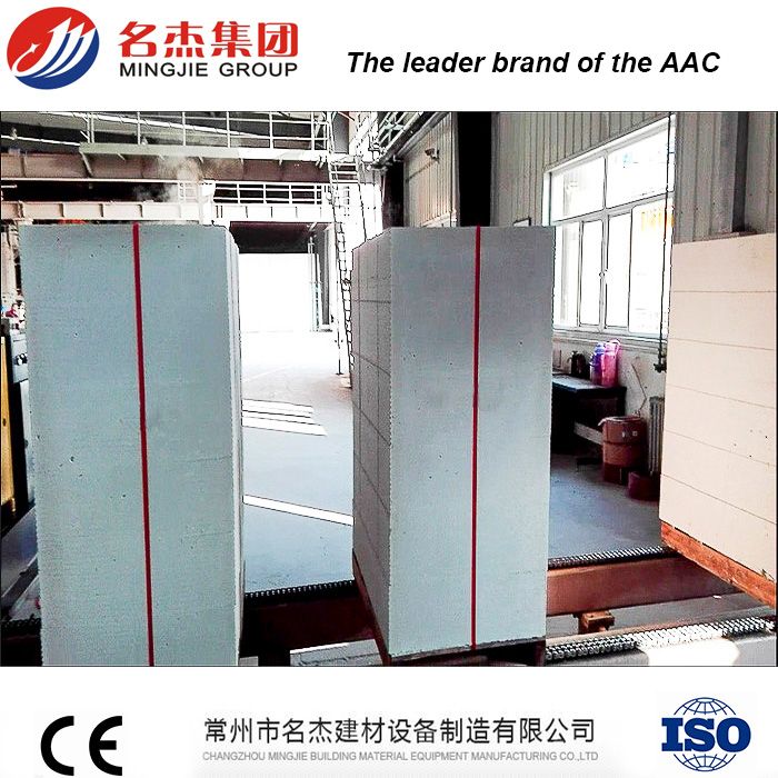 4.8meter Mould Sand Lime Brick Making Machine